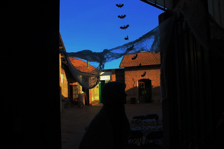 Halloween 2